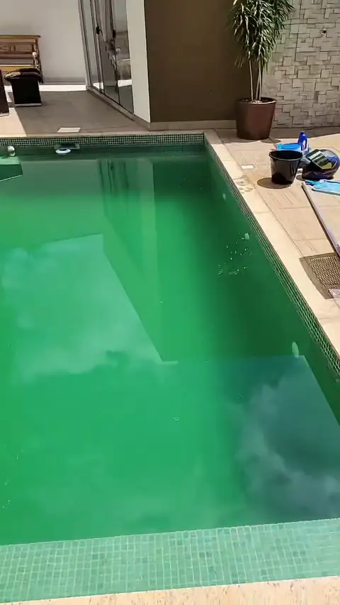 Piscina com água verde que passa a ficar cristalina